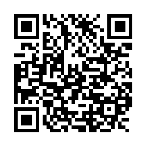 R4.sn-c0q7lns7.googlevideo.com QR code