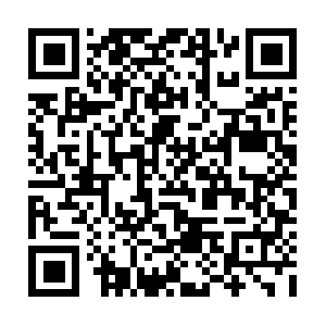 R5-sn-n3cgv5qc5oq-bh2sd.googlevideo.com QR code