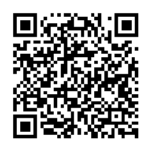 R5-sn-n3hvcpax-jwwz.googlevideo.com QR code