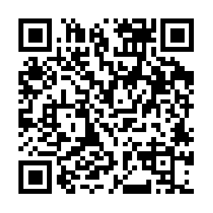 R5.sn-5np5po4v-c33sd.googlevideo.com QR code