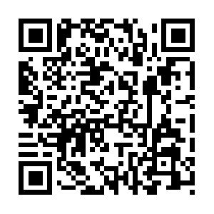 R5.sn-5np5po4v-c33sl.googlevideo.com QR code