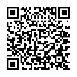 R6-sn-5np5po4v-c33er.googlevideo.com QR code