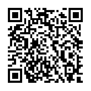 R8-sn-8pxuuxaj5hcvqp5-2oi6.googlevideo.com QR code