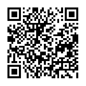 R8.sn-8pxuuxa-nboe7.googlevideo.com QR code