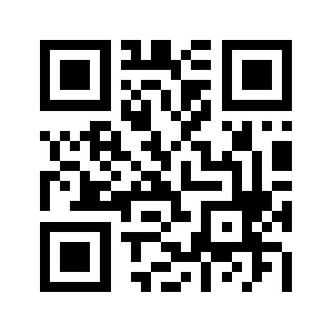 Raidentech.com QR code