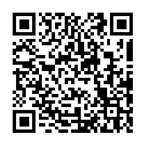 Rapid-product-search.firebaseapp.com QR code