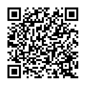 Rapidrewardsenrollmentpromotioncode.biz QR code