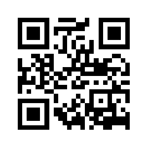 Raybinshop.com QR code