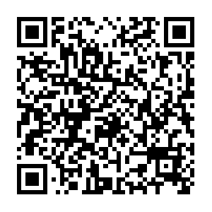 Raycityexpresssecurityanddeliverycompany55.com QR code