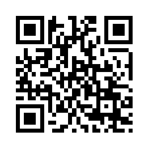 Raygunrocket.com QR code