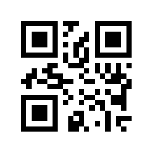 Rayi.cn QR code