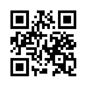 Rayin.space QR code