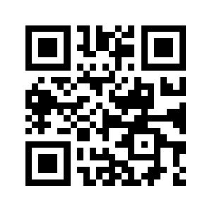 Raymagnus.vote QR code