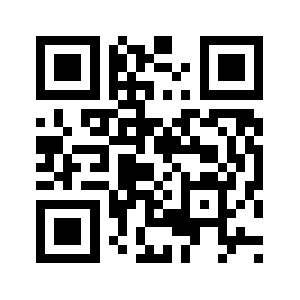 Raymaxteam.com QR code