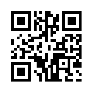 Raystevens.com QR code