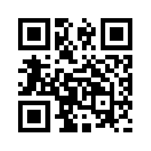 Raytemy.biz QR code