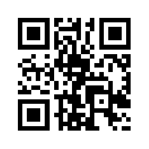 Raznicynet.com QR code