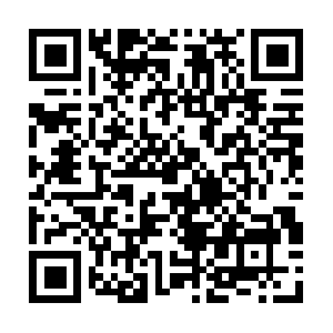 Readinfo-rmationsrenewedforyou.info QR code