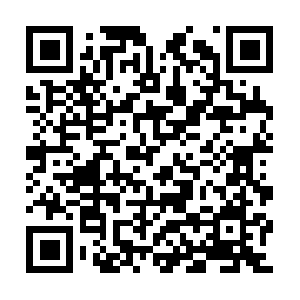 Realinvestorswealthcreationsummit.com QR code