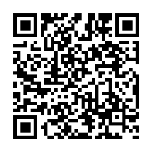 Referencelibrarian-corporateofficer.biz QR code