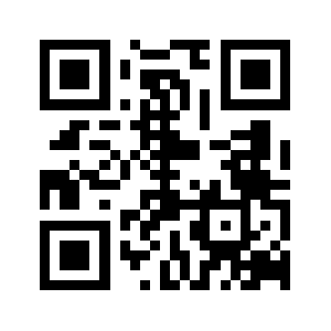 Reflyver.com QR code