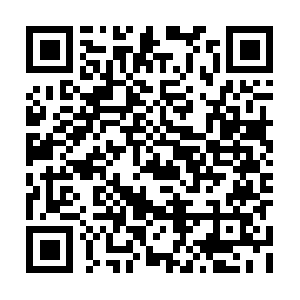 Reforestadoradelllanojehobanber.com QR code