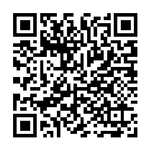 Reformasyconstruccioneswaltergarcia.com QR code