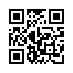 Rematik.biz QR code