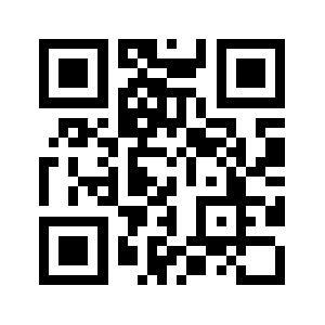 Remydejong.biz QR code