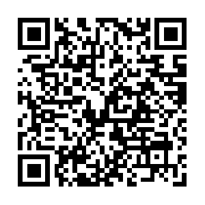 Renaissancecotondetulearbreeder.com QR code