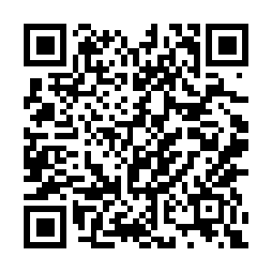 Renorealestateinvestmentproperties.com QR code