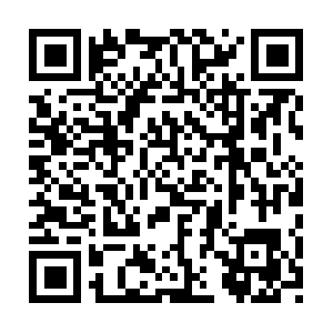 Rentobra-alquilermaquinariabilbao.com QR code