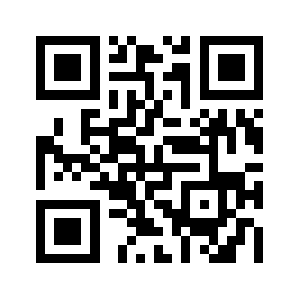 Repairbugs.com QR code