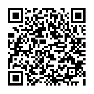 Report.shareitpay.in.www.tendawifi.com QR code