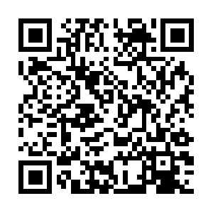 Reportify-query-central.shopifycloud.com QR code