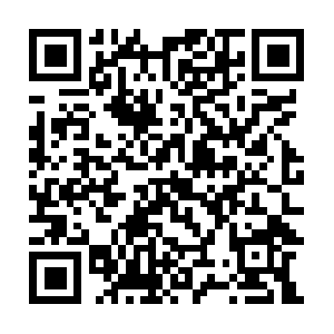 Repository-images.githubusercontent.com QR code