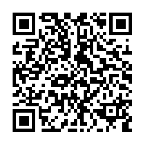 Request-appeal-support-10000049513254.com QR code