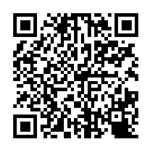 Responsiblewildlifevolunteering.com QR code