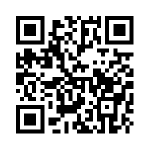 Revinsite-demo.com QR code