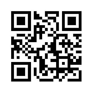 Rg512china.com QR code