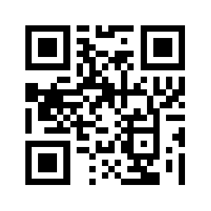 Rg9933.com QR code