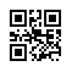 Rga.ip QR code