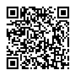 Riparazioneelettrodomesticilavagna.com QR code