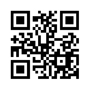 Riseleap.com QR code