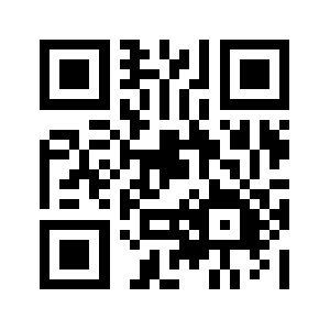 Risetoy.com QR code