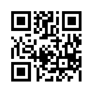 Riskmaven.org QR code