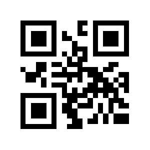 Rodi.ru QR code