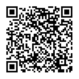 Role-playing.by.dob.sibl.support-intelligence.net QR code