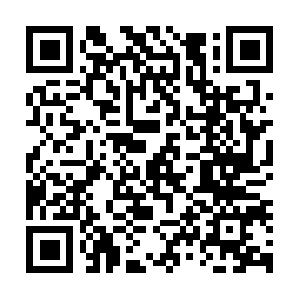 Rosasbailbondsandwreckerservices.com QR code