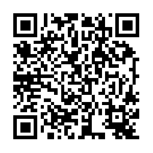 Rosasprofesionalcleaningservices.com QR code